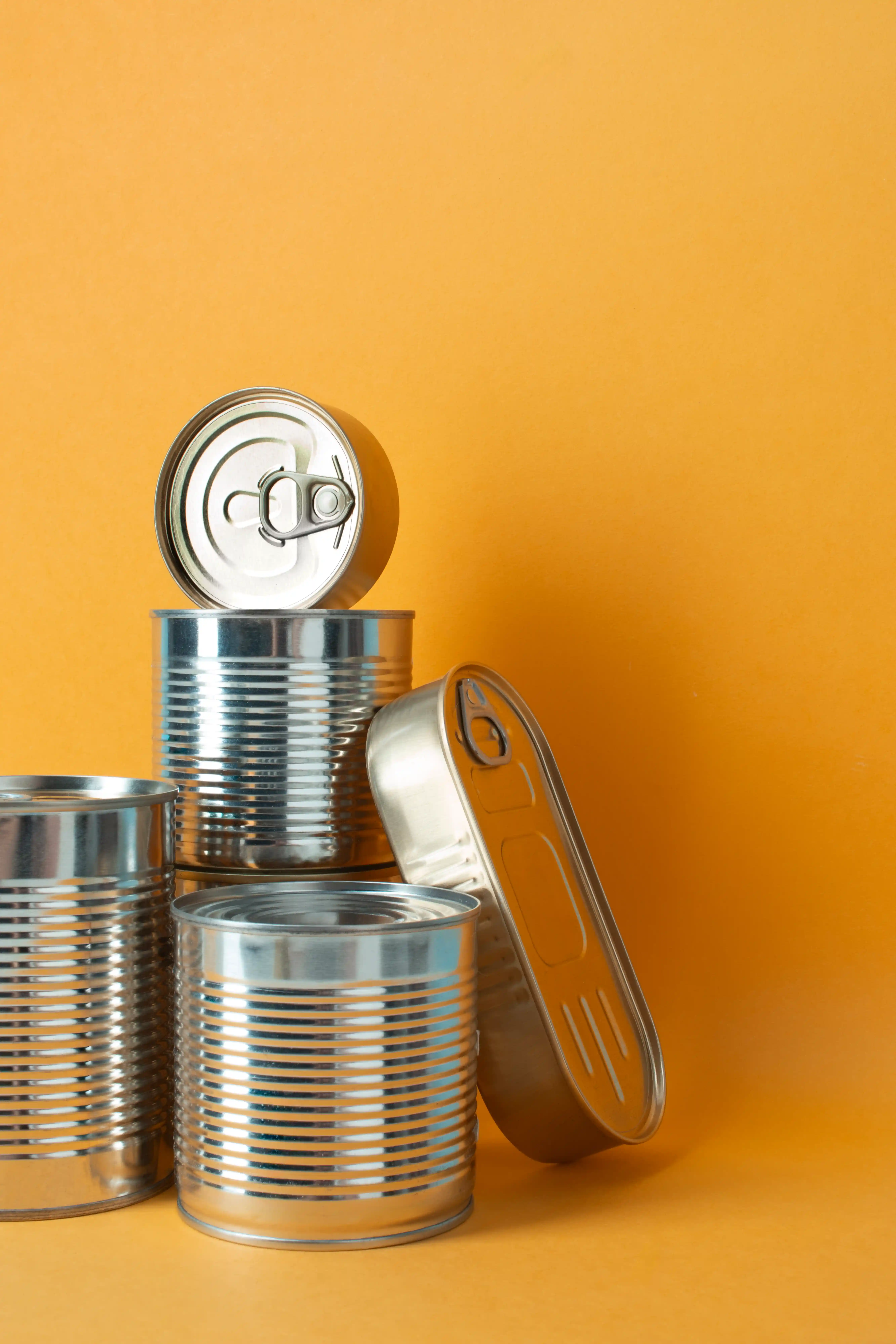 المعلبات الغذائية